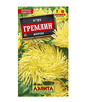  Астра Гремлин желтая цв Аэлита 