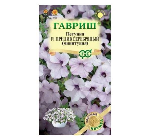  Петуния Прилив Серебряный F1 минитуния 4шт Элитн клумба Н22 Гавриш