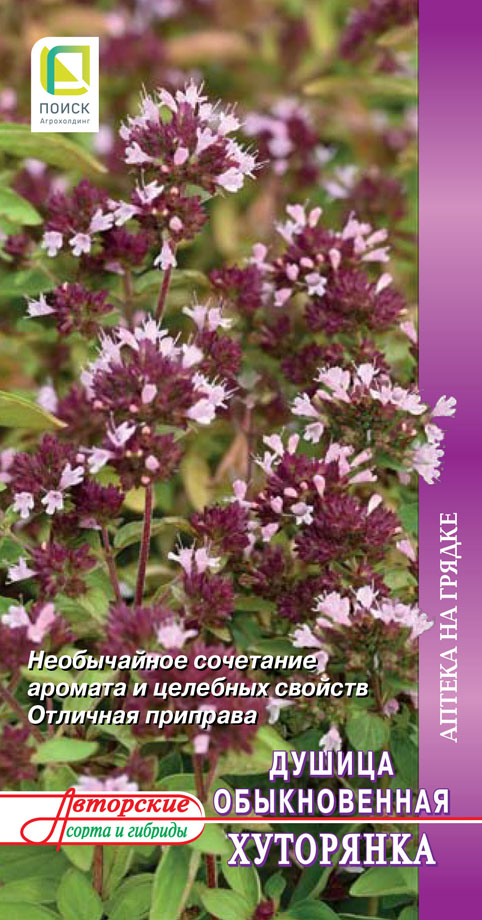  Душица обыкновенная Хуторянка цв Поиск