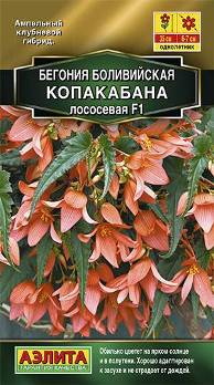  Бегония боливийская Копакабана лососевая F1 цв. Аэлита