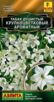  Табак душистый Ароматный крупноцвет. цв.Аэлита