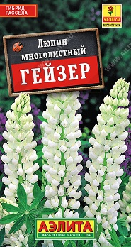  Люпин Гейзер 15шт цв Аэлита