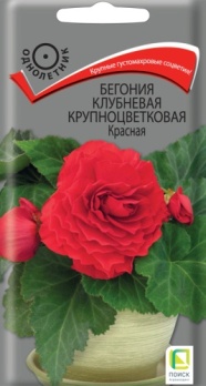  Бегония клубнев крупноцв Красная 5шт цв Поиск