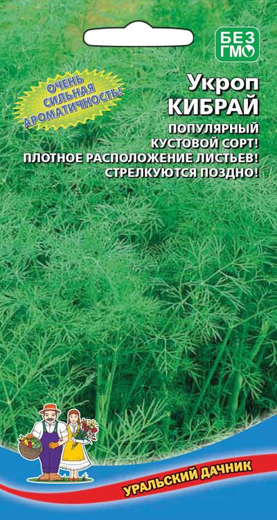  Укроп Кибрай цв Урал.Дачник