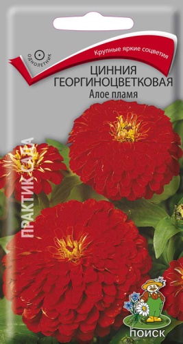  Цинния георгиноцв Алое пламя 0,4г цв Поиск