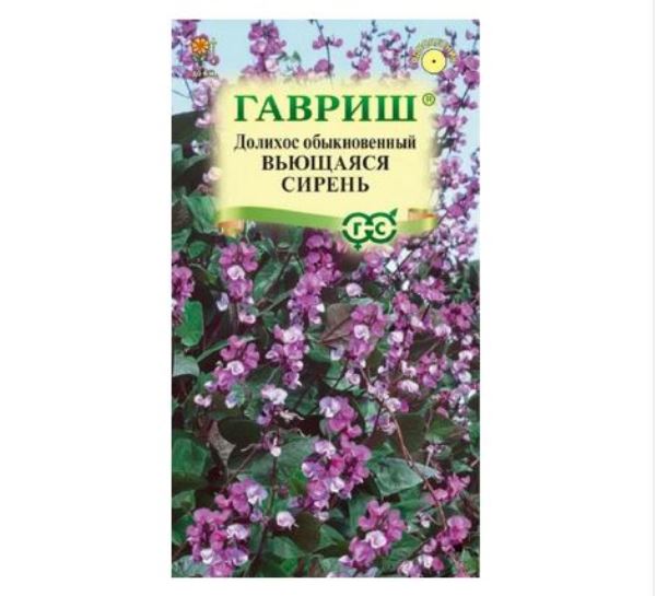  Долихос гиацинтовые бобы вьющаяся сирень 4шт Гавриш
