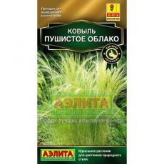  Колеус балконный Бургундское вино цв Аэлита