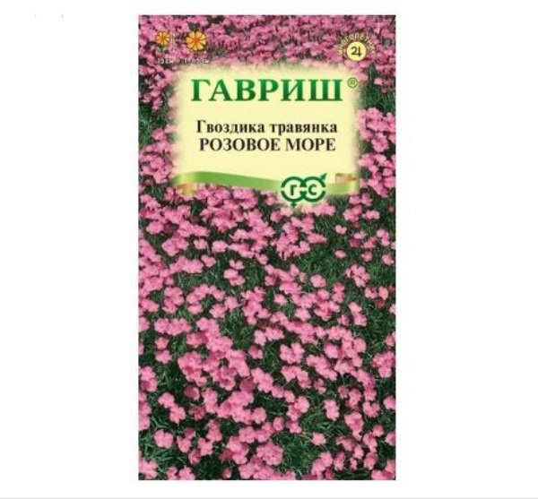  Гвоздика травянка розовое море 0,05г Н23 Гавриш