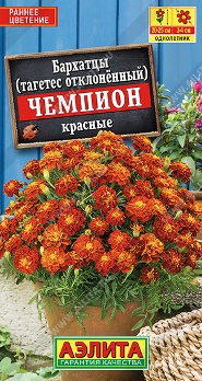  Бархатцы Чемпион красные отклоненные Аэлита
