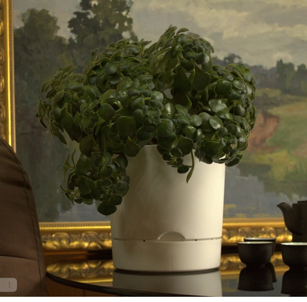  Горшок для цветов 10,5л d25см Гранд белый