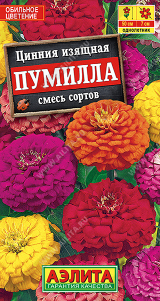  Цинния Пумилла смесь цв Аэлита