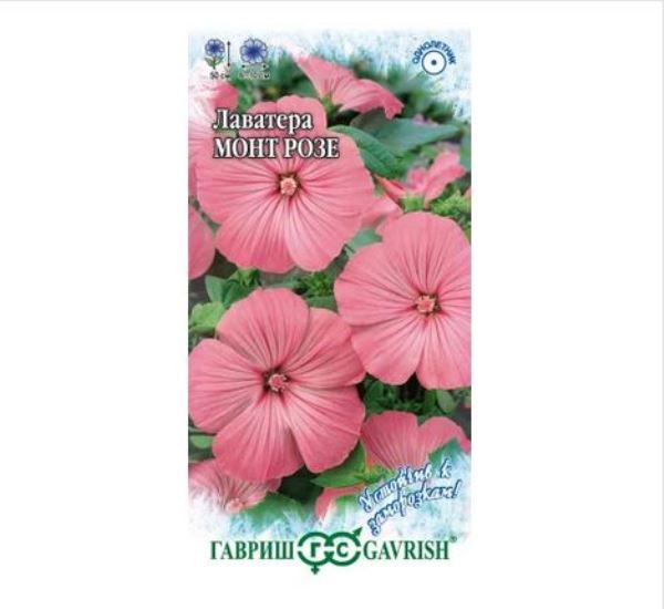  Лаватера Монт Розе 0,3г устойчив к заморозкам DH Гавриш