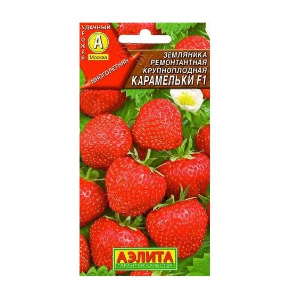  Земляника ремонтантная Карамельки крупноплод цв Аэлита