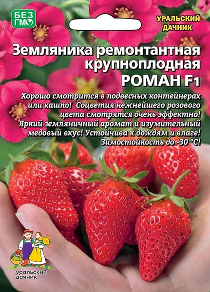  Земляника ремонтантная Роман F1 Урал.Дачник б/ф