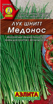  Лук шнитт Медонос 0,5г цв Аэлита