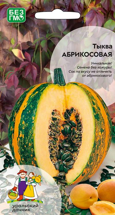  Тыква Абрикосовая цв Урал.Дачник