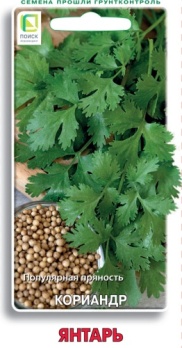 Кориандр Янтарь 3г цв Семетра Поиск
