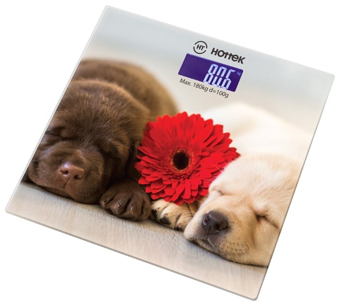  Весы наполольные электронные HOTTEK HT-962-016