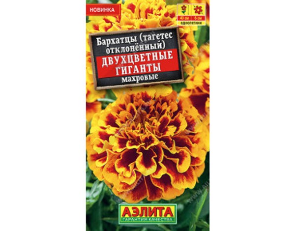  Бархатцы Двухцветные гиганты отклон цв Аэлита