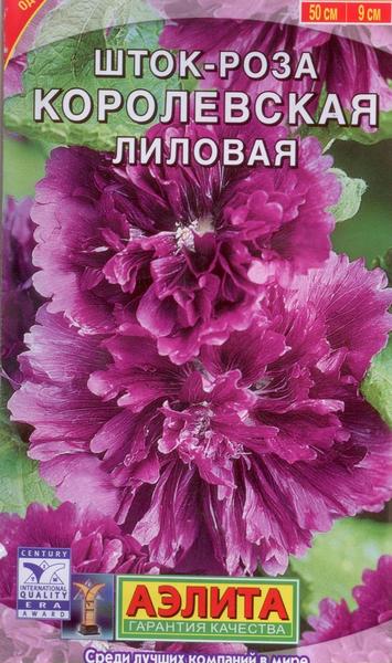 Шток-роза Королевская лиловая цв. Аэлита