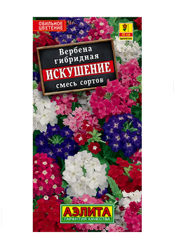  Вербена гибридная Искушение цв. Аэлита