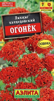  Лихнис халцедонский Огонек цв Аэлита