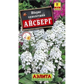  Иберис Айсберг однолетний цв. Аэлита