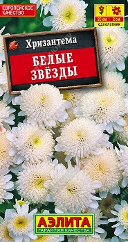  Хризантема девичья Белые звезды цв Аэлита