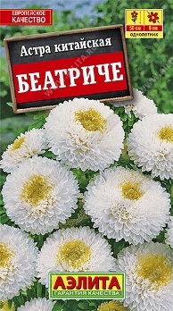  Астра Беатриче цв Аэлита