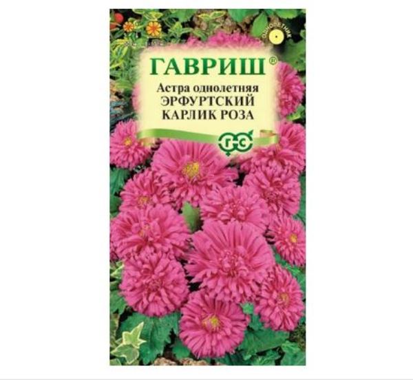  Астра Эрфуртский карлик Роза однолетняя 0,3г Гавриш