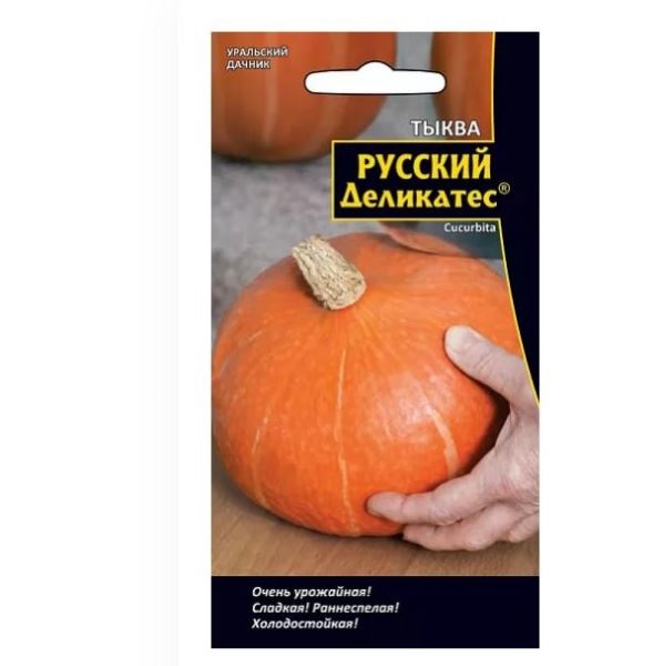 Тыква русский деликатес цв Урал. Дачник