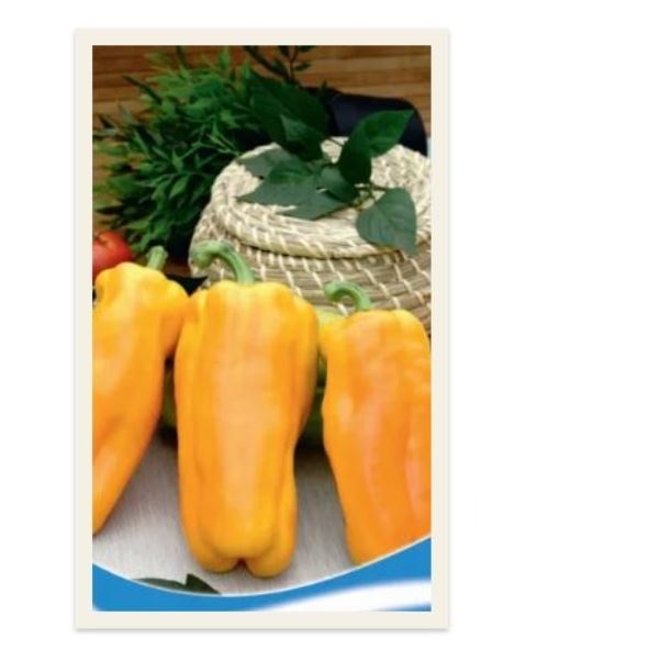  Перец сладкий Королевский размах цв Урал. Дачник 