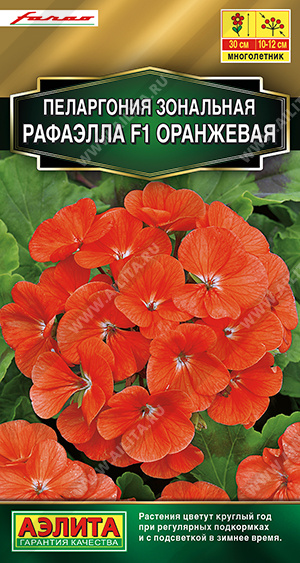  Пеларгония Рафаэлла F1 оранжевая цв Аэлита