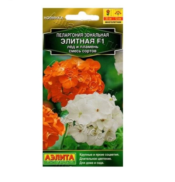  Пеларгония Элитная F1 лед и пламень смесь сортов Аэлита 