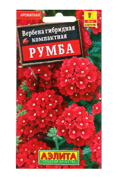  Вербена гибридная Румба цв. Аэлита