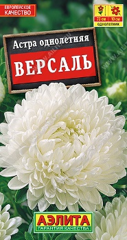  Астра Версаль пионовидная цв Аэлита