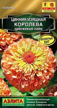  Цинния Королева оранжевый лайм цв Аэлита