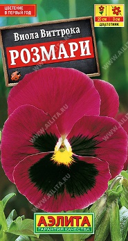  Виола Розмари цв Аэлита