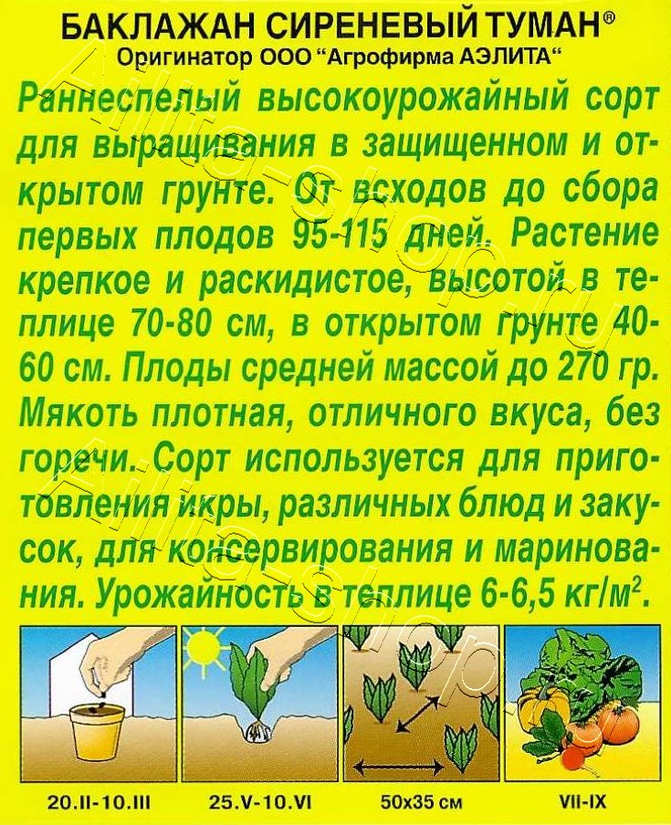  Баклажан Сиреневый туман цв Аэлита