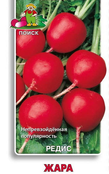  Редис Жара 3г цв Семетра Поиск