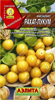  Физалис Рахат-лукум цв. Аэлита