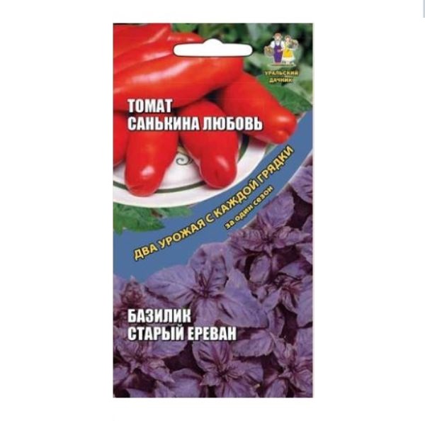  Томат Санькина любовь + Базилик старый Ереван цв Урал.Дачник