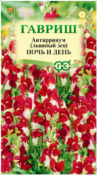  Антирринум (львиный зев) Ночь и день  0,05г цв Гавриш