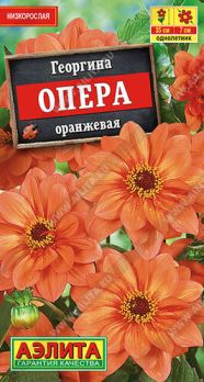 Георгина Опера оранжевая 7шт цв Аэлита