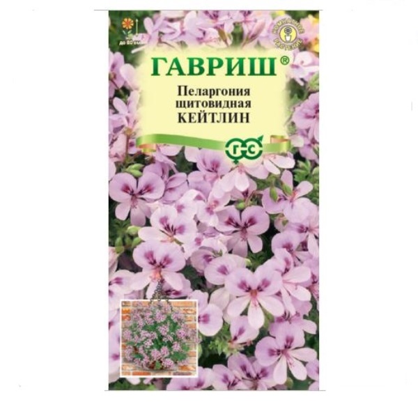  Пеларгония Кейтлин ампель 3шт Н22 Гавриш