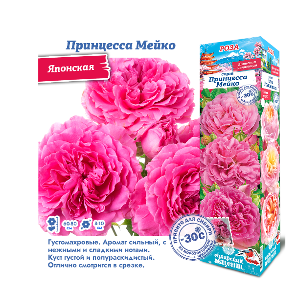  Роза японская Принцесса Мейко