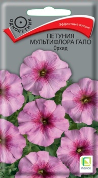  Петуния мультифлора Гало Орхид 10шт цв Поиск