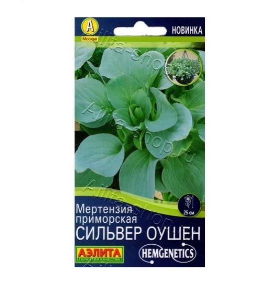  Мертензия приморская сильвер оушен цв Аэлита 