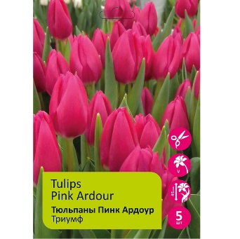 Тюльпан Пинк Ардоур Триумф 12+/К 5шт