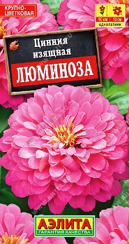  Цинния Люминоза георгиновидная цв Аэлита